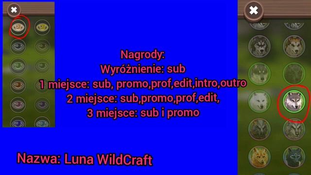 ⚠️NIE 14 LIPCA TYLKO 24 LISTOPADA⚠️ смотреть онлайн