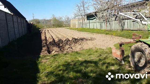 ПОСАДКА КАРТОШКИ./Беларусь. смотреть онлайн