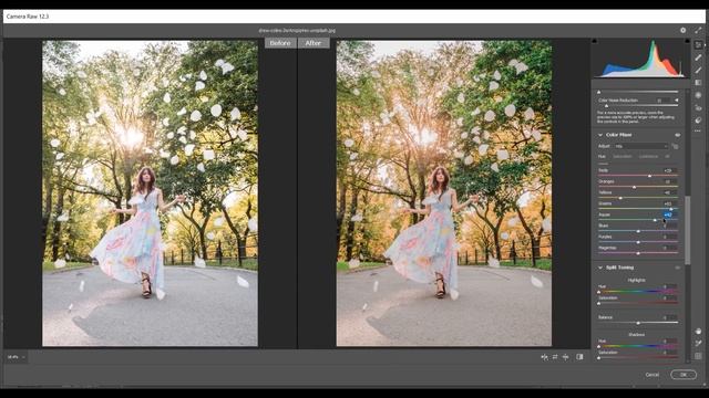 COLOR GRADING PRESET - STREET FASHION - DNG & XMP ( NO PASS ) смотреть онлайн