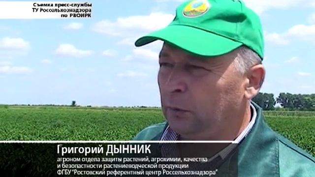 дикий полив.mp4