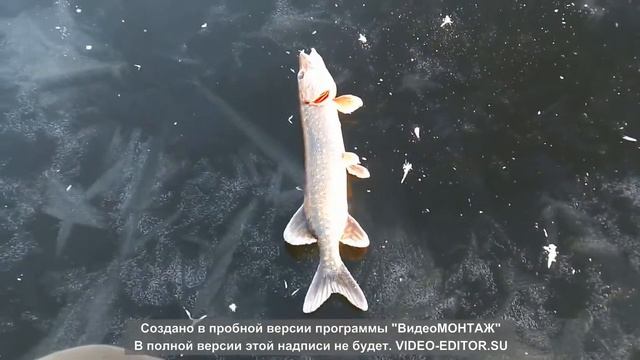 Рыбалка по первому льду, на жерлицы смотреть онлайн
