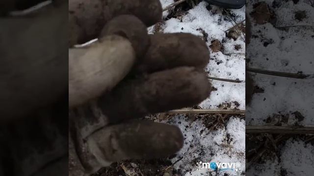 Зимний коп с GMaxx2.(Серебро)Мой первый гривенник.Открытие сезона.2020 смотреть онлайн