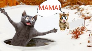 Кошка Дымка ПОГИБЛА!!! Но КОТЁНОК остался ЖИВ!