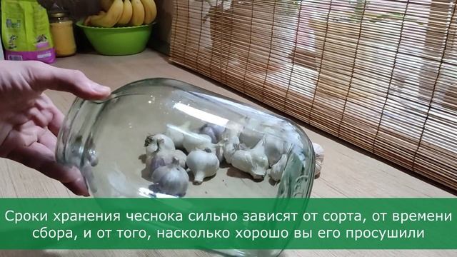 Чеснок будет храниться очень долго / Целый год / Огород дяди Вовы смотреть онлайн