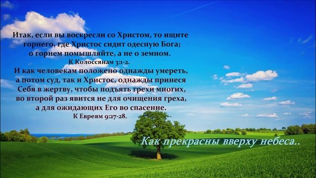 Как прекрасны вверху небеса..