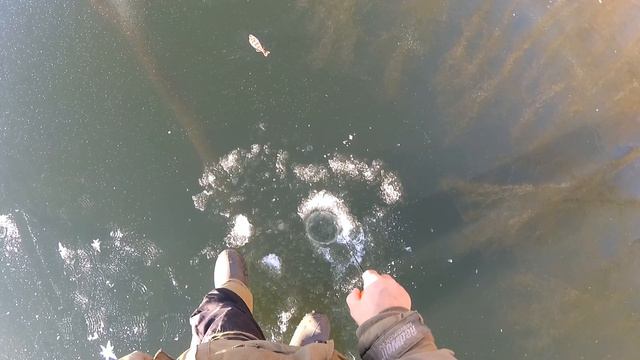 Первый лёд,ловля окуня на балансир,Самара! смотреть онлайн