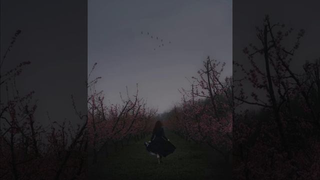 Agnes Obel - Roscian