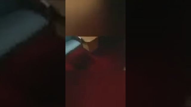постелить ковролин смотреть онлайн