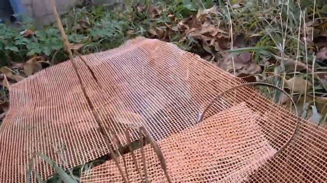 Как защитить погреб от слимаков слизней улиток смотреть онлайн