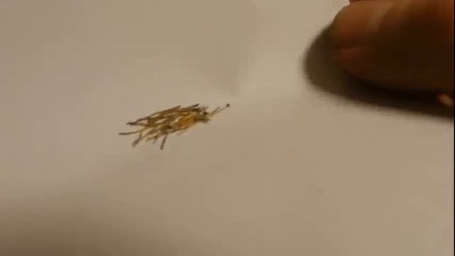 Реактив на золото. Грязные растворы смотреть онлайн