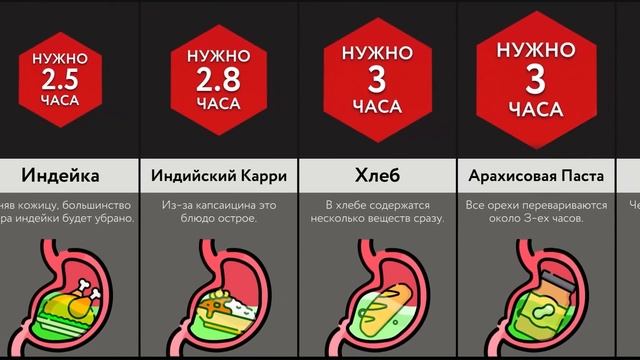 Сколько Переваривается ___? смотреть онлайн