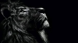 новая музыка лев