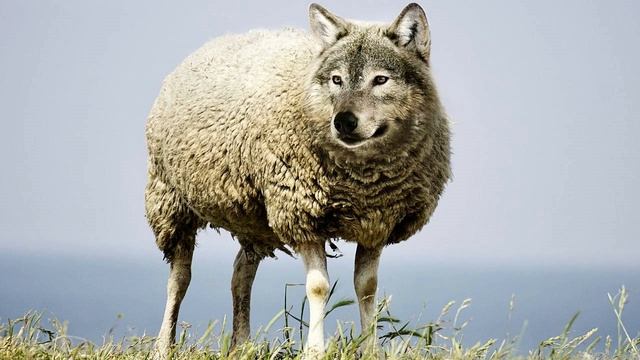 Wewnętrzna rewolucja jest ważna, ale ważniejsze co po niej - samiecweb.pl смотреть онлайн