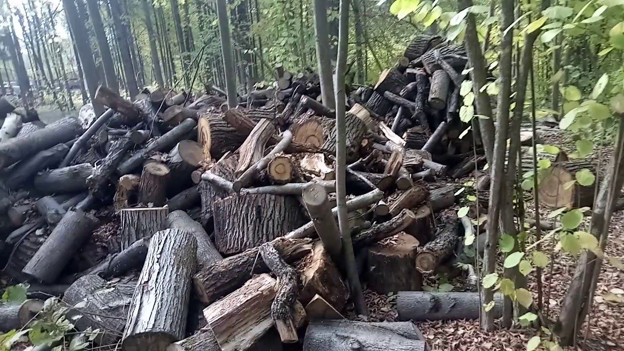 Бардак в спортивном парке отдыха им. Героя России Ларисы Лазутиной. смотреть онлайн