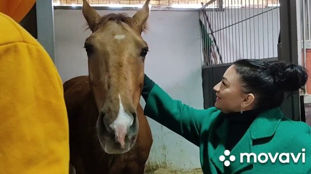 Сочи 2021...Парк "Ривьера"...Кормлю Лошадей...прогулка по Сочи смотреть онлайн