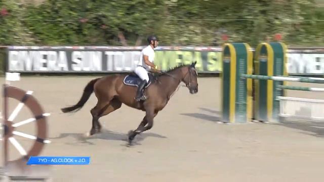 Cornet Rouge_Cattolica 19 agosto 2017 CSIYH 7 anni смотреть онлайн
