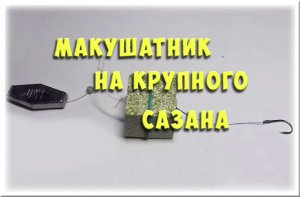 ПРОСТАЯ И ЭФФЕКТИВНАЯ СНАСТЬ НА САЗАНА макушатник или жмыхоловка. Рыбалка на сазана карпа.