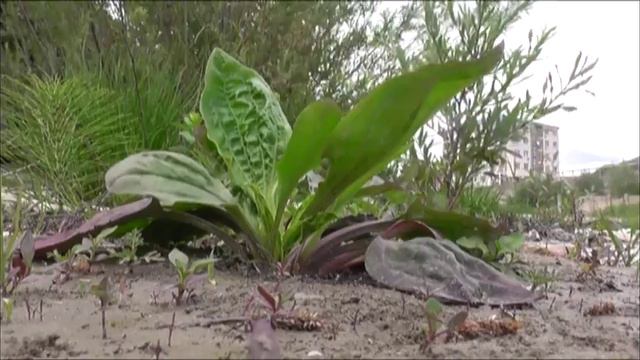 Река моего детства смотреть онлайн