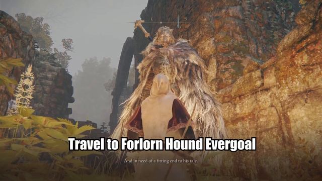 Elden Ring: Blaidd The Half-Wolf Quest Guide - Wolf's Howl in the Mistwood смотреть онлайн