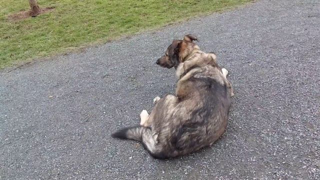 ГЕРМАНИЯ??.УКРАИНСКИЕ??БЕЖЕНЦЫ.ОПЯТЬ БОЛЬНИЦА,АНАЛИЗЫ,ОТНОШЕНИЕ МЕДПЕРСОНАЛА К УКРАИНЦАМ... смотреть онлайн