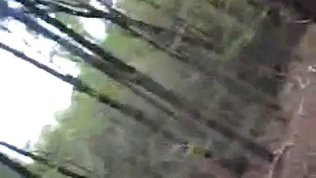 Me logging with my stihl ms362 смотреть онлайн