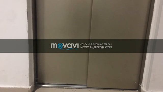 ЧЕЛЛЕНДЖ! 2019 ОТЖИМАНИЙ ЗА 24 ЧАСА!!! смотреть онлайн