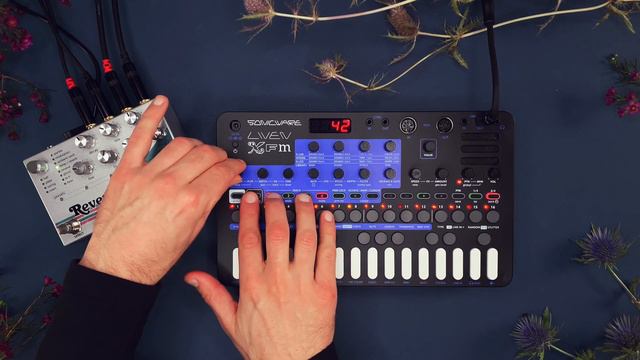 Sonicware LIVEN XFM Sound Demo (no Talking)