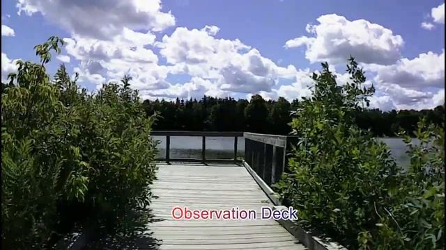 Milne Dam Conservation Park, Markham, Canada смотреть онлайн