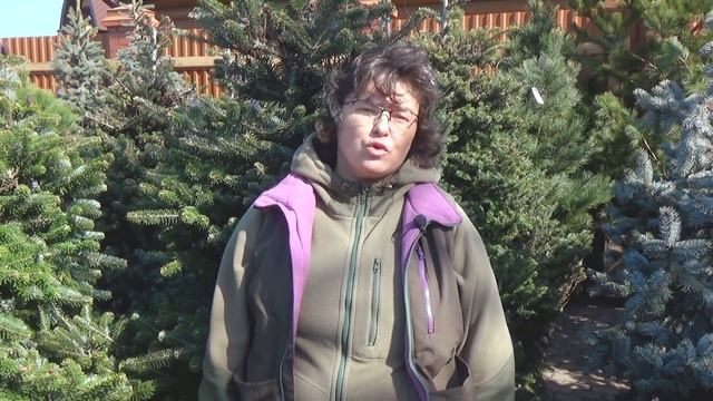 Злостный сорняк маршанция! Как победить? смотреть онлайн