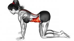 Эти Упражнения Помогают Проснуться