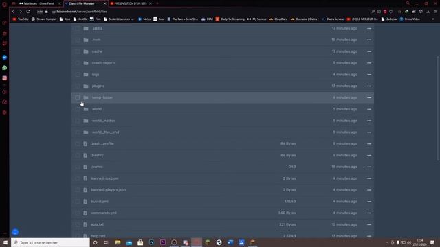 COMMENT CHANGER LA VERSION DE SON SERVEUR MINECRAFT FALIXNODES | TUTO PLUGINS смотреть онлайн