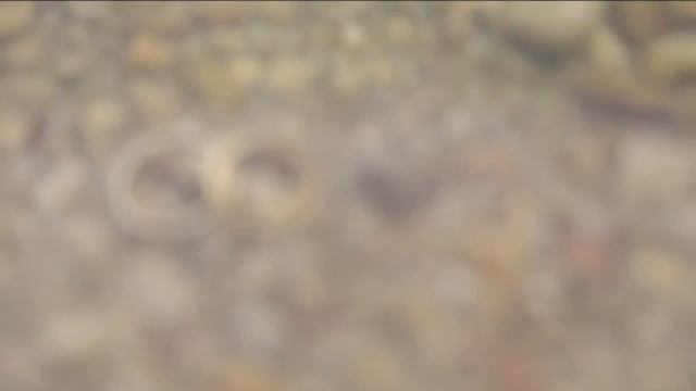 IллюзiонЪ – От Чувств-с