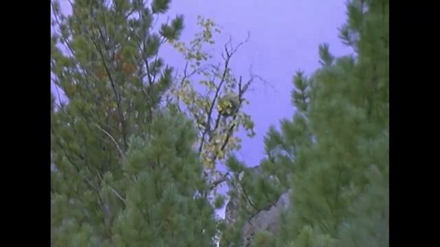 Злой дух Ямбуя СССР 1978