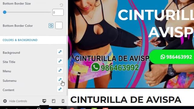 Edición De Colores Del Menu Y Submenu el Texto y el Fondo ? смотреть онлайн