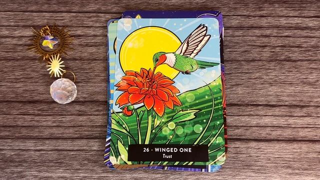 The Sacred Medicine Oracle Deck Flip-Through & First Impressions смотреть онлайн