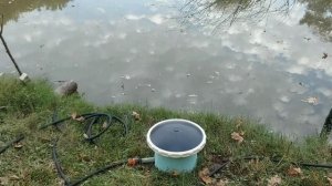 Аэрация для пруда. Донные аэраторы и компрессор в работе.