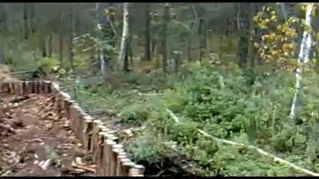 Озеро Илово. Заболочивание местности лето 2012. смотреть онлайн