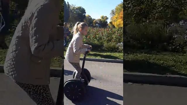 Пиниборт смотреть онлайн