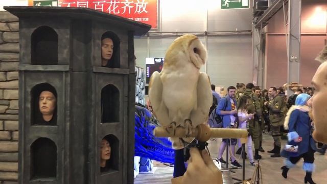 Репортаж с Epic Con Russia Moscow 2019 смотреть онлайн