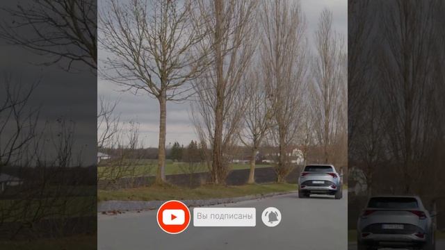 Новый Kia Sportage 5 (2022 года) одобрен в России. Первые подробности. смотреть онлайн