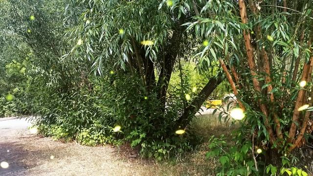 Мама, я не могу отдать квартиру моей жены. Сестра же замужем. Вот пусть он и зарабатывает смотреть онлайн