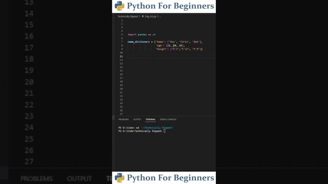 How To Install And Use The Pandas Library | Python For Beginners смотреть онлайн
