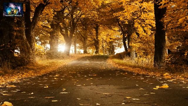 MÚSICA CELTA Ajuda A Tranquilizar, Equilibrar As Energias, Focar Atenção E Relaxar