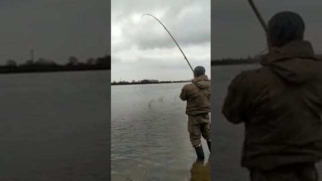 17 марта 2019 г. Ловим леща на Немане. смотреть онлайн