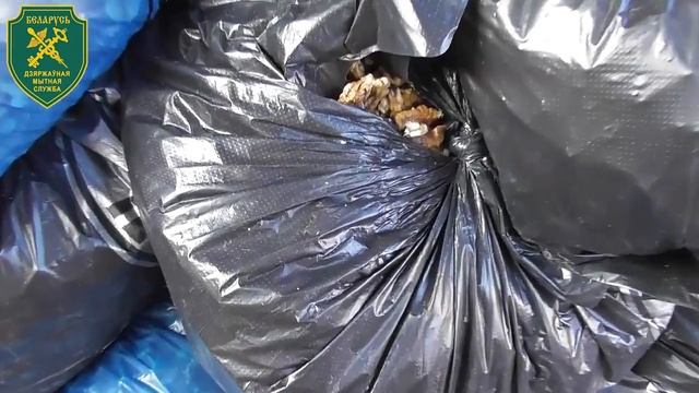 Пресечена незаконная схема ввоза грецких орехов смотреть онлайн