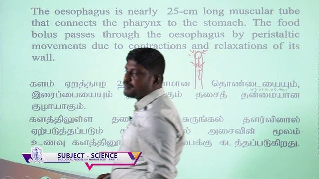 Grade-11- Science - Biological Progess in Human Body 01 - E-Learning Programme of Jaffna Hindu Coll смотреть онлайн