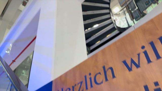 КНИЖНЫЕ ВЫХОДНЫЕ || Граф Аверин и поиски Четвертого крыла смотреть онлайн