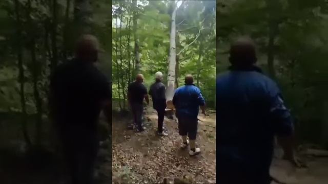 Качелька смотреть онлайн