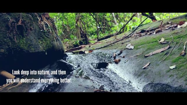 Tripura hill natural vegetation shots || Akash debbarma || The Akash film смотреть онлайн