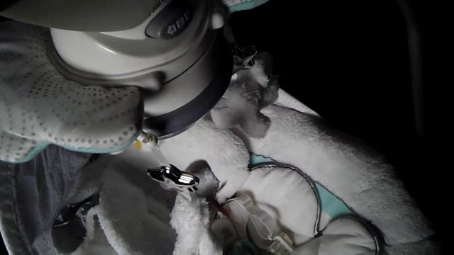 Fisher Price MY LITTLE LAMB Platinum Edition Cradle N Swing REVIEW & FEATURES! смотреть онлайн